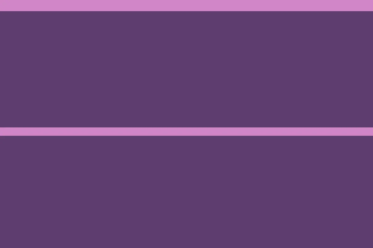 Decorative graphic for the Santa Rosa County probate guide