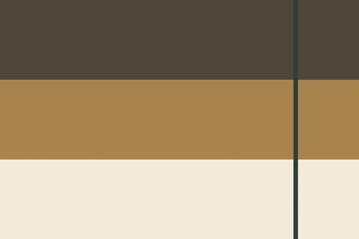 Decorative color graphic for the Sumter County probate guide